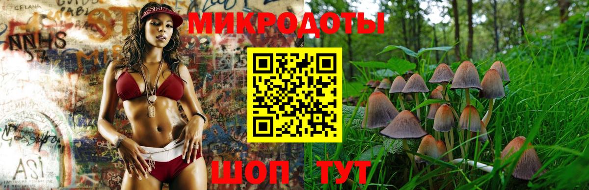 Псилоцибиновые грибы MAGIC MUSHROOMS Сланцы