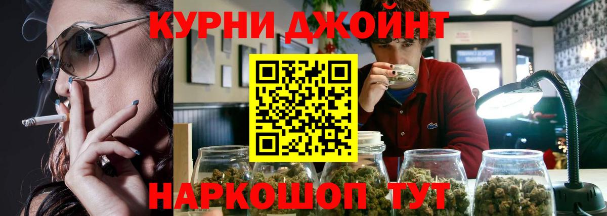 Канабис конопля Сланцы